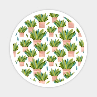 Potted Snake Plant Magnet